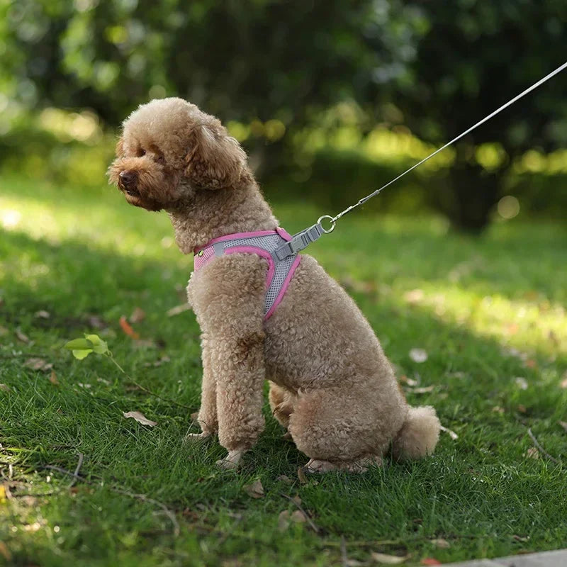The Growing Mart Puppy Harness Set, Adjustable No-Pull Leash Combo.