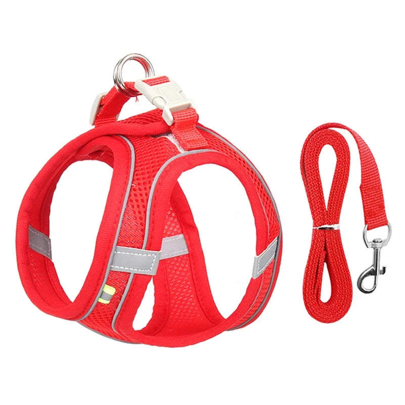The Growing Mart Puppy Harness Set, Adjustable No-Pull Leash Combo.