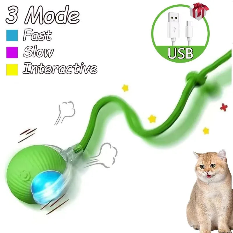 The Growing Mart Interactive Cat Toy – Automatic Rolling Smart Ball for Endless Play