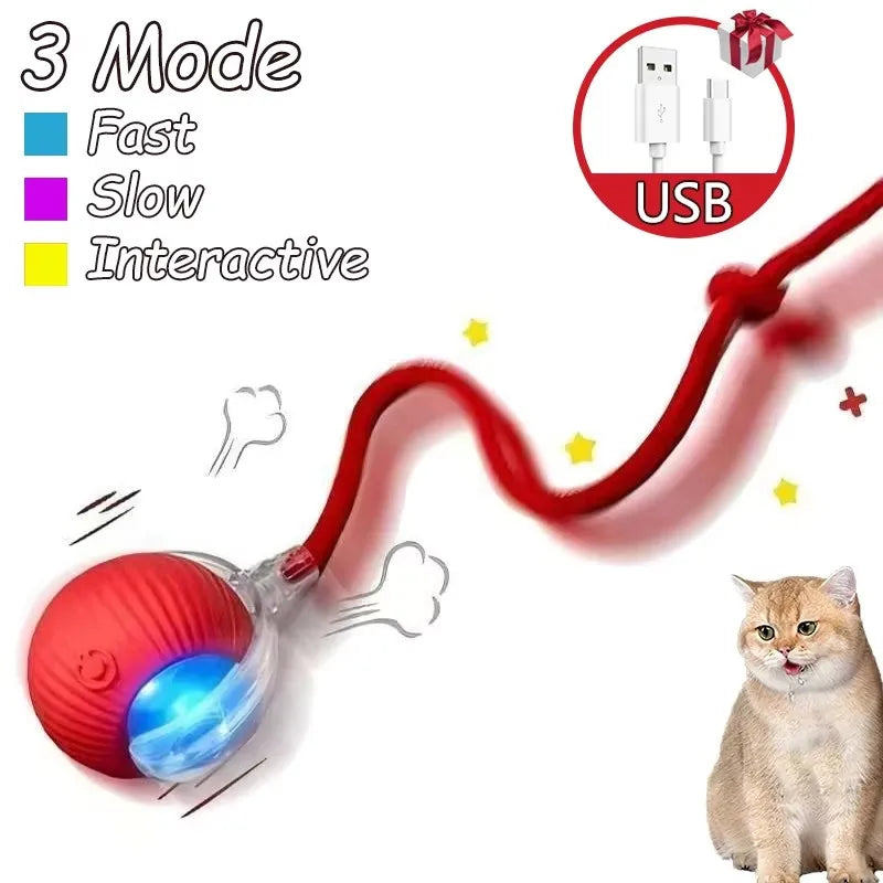 The Growing Mart Interactive Cat Toy – Automatic Rolling Smart Ball for Endless Play