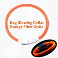 Rechargeable Fiber Optic Dog Collar Luminous Night Glow Pet Accessory Detachable Safety Collar for Enhanced Nighttime Visibi