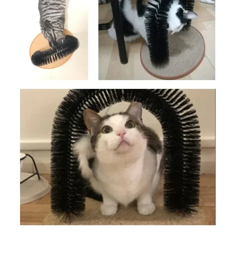 Cat Grooming Arch
