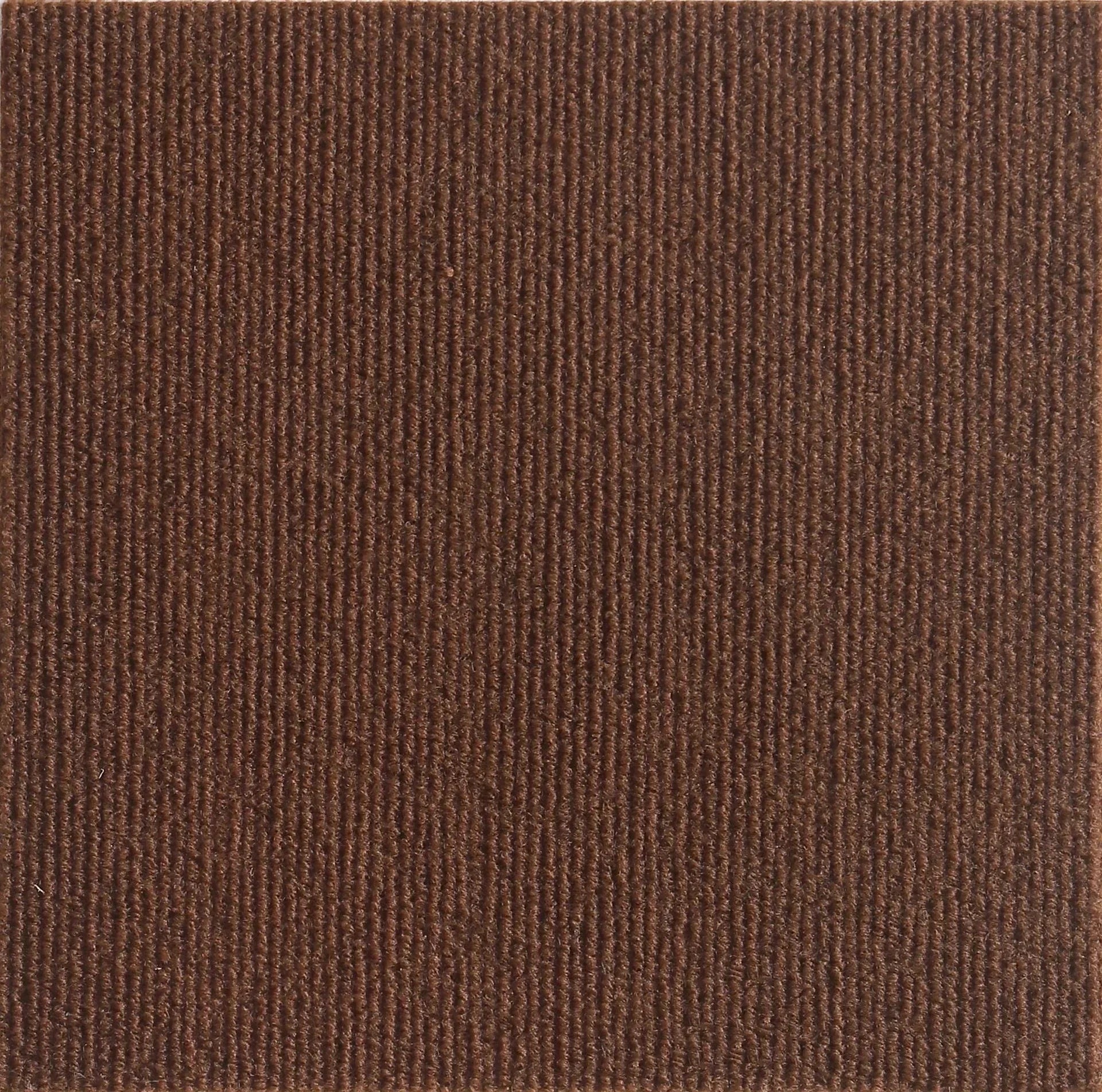 Self-Adhesive Cat Scratching Mat – Trimmable DIY Furniture Protector for Sofas, Walls & Corners, Multiple Sizes & Colors