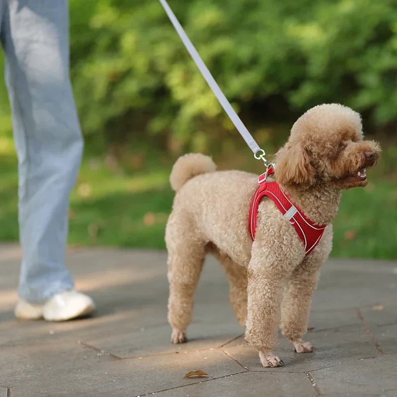 The Growing Mart Puppy Harness Set, Adjustable No-Pull Leash Combo.