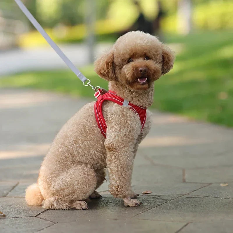 The Growing Mart Puppy Harness Set, Adjustable No-Pull Leash Combo.