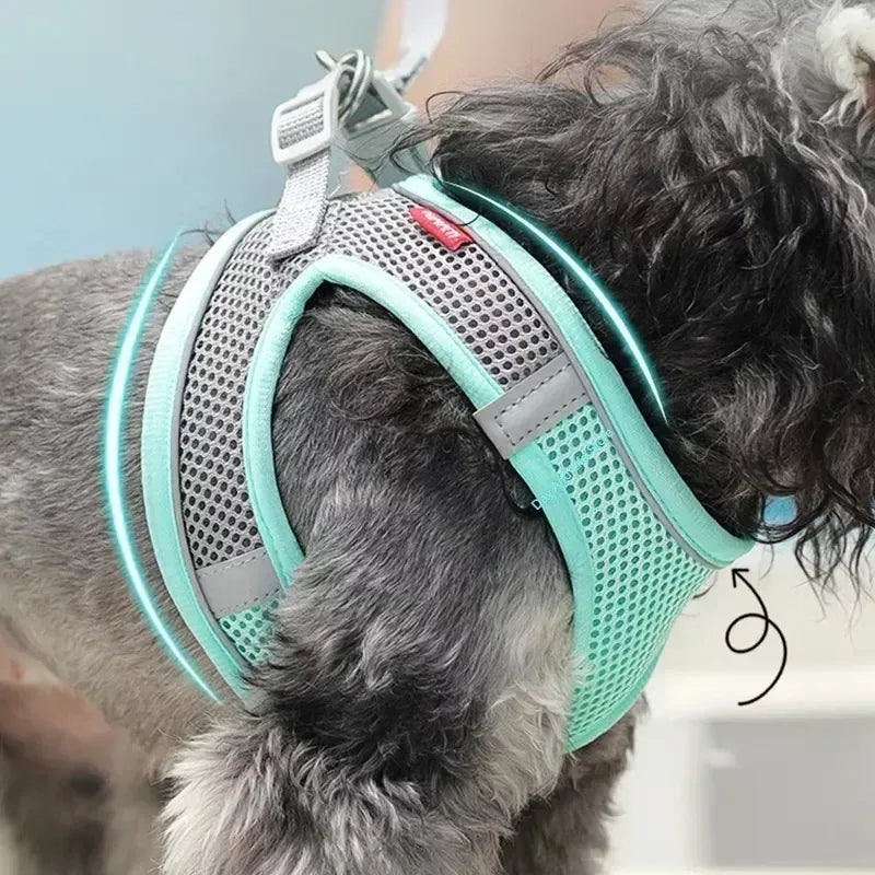 The Growing Mart Puppy Harness Set, Adjustable No-Pull Leash Combo.