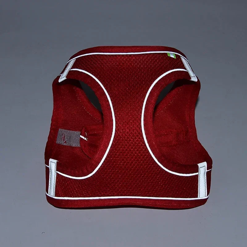 The Growing Mart Puppy Harness Set, Adjustable No-Pull Leash Combo.