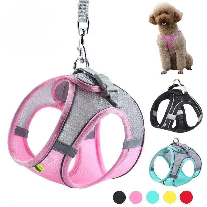 The Growing Mart Puppy Harness Set, Adjustable No-Pull Leash Combo.