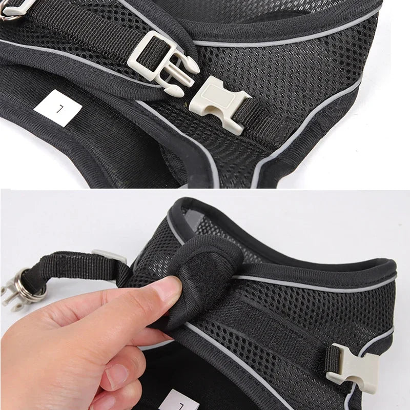 The Growing Mart Puppy Harness Set, Adjustable No-Pull Leash Combo.