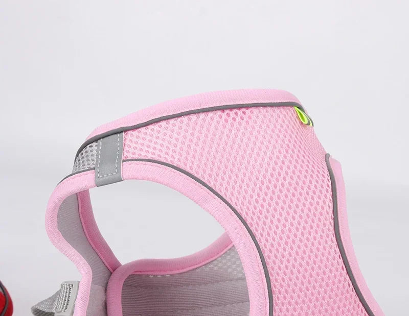 The Growing Mart Puppy Harness Set, Adjustable No-Pull Leash Combo.